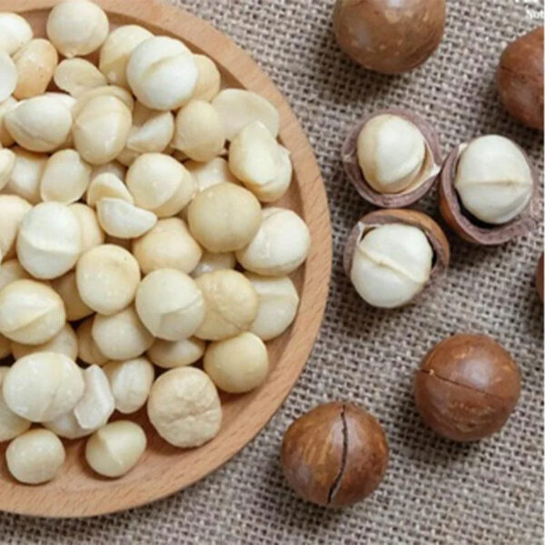 BEST RATE Vietnam Manufacturer Supply Premium Quality Best Selling Healthy CRACKED ROASTED MACADAMIA NUTS 300g/500g Bag - Image 2