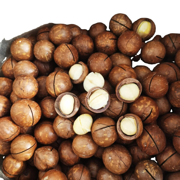 High Quality Green and Healthy Macca Macadamia Nut Cracking Delicious Honey Roasted Macadamia Nuts - Image 2