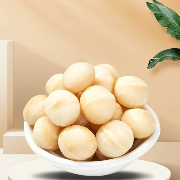 China Manufacturers Exporters Wholesale Cheap Price Bulk Roasted Macadamia Nuts Snacks for Sale - Image 2