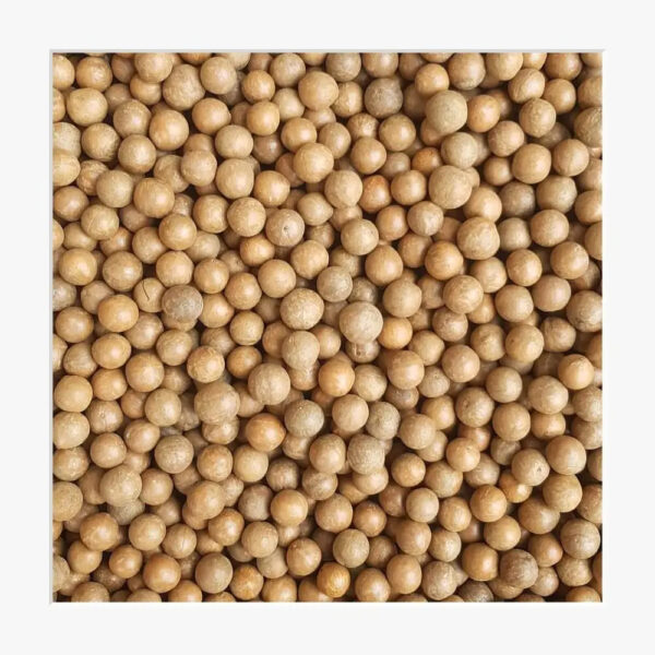 Macadamia Nuts - Image 2