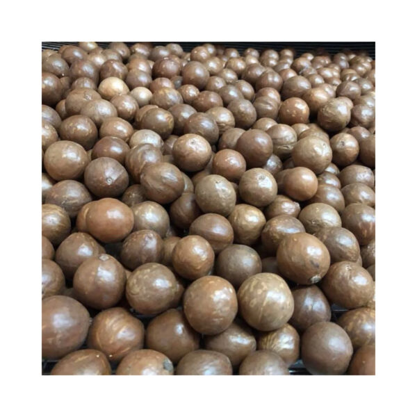 100% Natural Premium Quality Dried Roasted Macadamia Nuts With High Quality From Vietnam - Image 2
