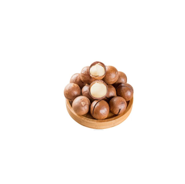 RICH PREMIUM Quality Wholesale Organic Cheap Macadamia Buyers for Sale Organic Macadamia Nuts Natural Delicious Raw - Image 2