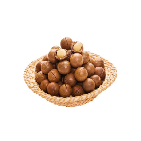 Best Quality Organic Macadamia Nuts in Shell Roasted and Raw Dried for Food Use - Image 2