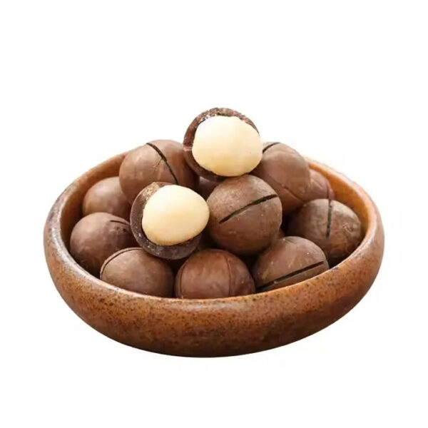 High Quality Macadamia Nuts Sweet Milky Flavor Nut Dried Fruit Wholesale Supply - Image 3