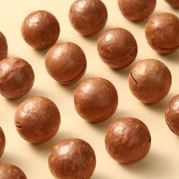 Wholesale Macadamia Nuts Salted and Creamy in Shell Creamy or Vanilla Flavors 20-25mm - Image 3