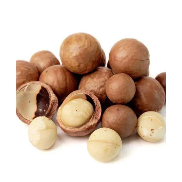 TOP Quality Shelled Raw Organic Macadamia Nuts - Image 4