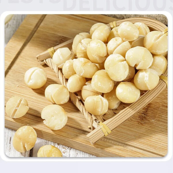 China Manufacturers Exporters Wholesale Cheap Price Bulk Roasted Macadamia Nuts Snacks for Sale - Image 3