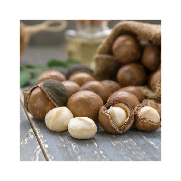 Bulk High Quality Macadamia/ Macadamia Nuts/roasted Macadamia - Image 3