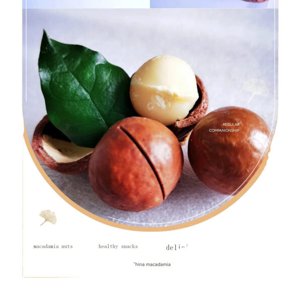 High Quality Green and Healthy Macca Macadamia Nut Cracking Delicious Honey Roasted Macadamia Nuts - Image 4