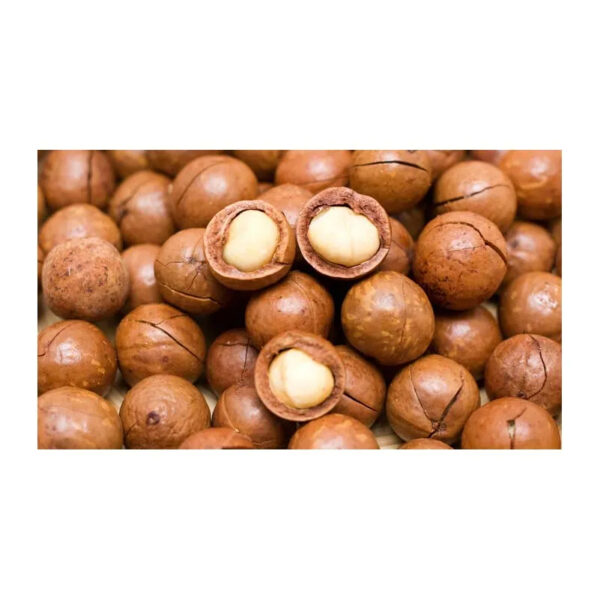 Bulk High Quality Macadamia/ Macadamia Nuts/roasted Macadamia - Image 4