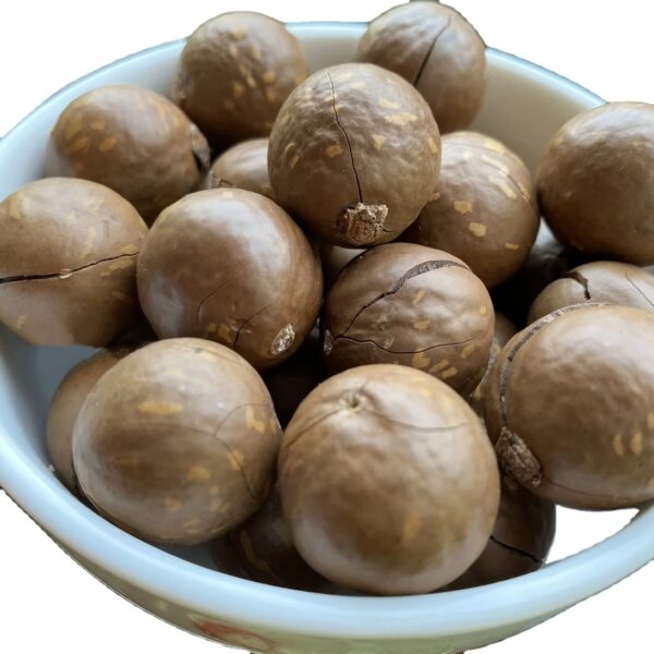 High Quality 100% Pure Non-GMO Macadamia Nut Cracker Best Price Bulk Supply From Vietnam Factory Also Specializing Cashew Nuts - Image 4