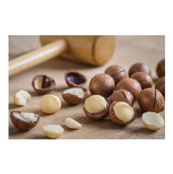 Cheapest Price Supplier Bulk Dried Organic Macadamia Nuts With Fast Delivery - Image 4