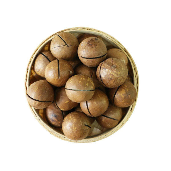 High Quality Organic Macadamia Nuts Dried Shell with Sweet Milky Flavor Hand Squeezed Raw Snack Yummy Fruit Nut Combo - Image 4