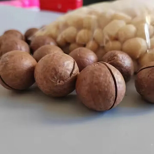 High Quality Macadamia Nuts Sweet Milky Flavor Nut Dried Fruit Wholesale Supply - Image 4