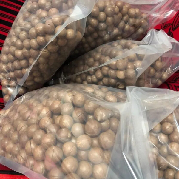 Wholesale Macadamia Nuts High Quality Macadamia Nuts From Vietnam Competitive Price Macca - Image 4