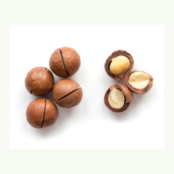 100% Natural Dried Macadamia Nuts Healthy Product High Quality Macadamia Nuts From Vietnam - Image 5