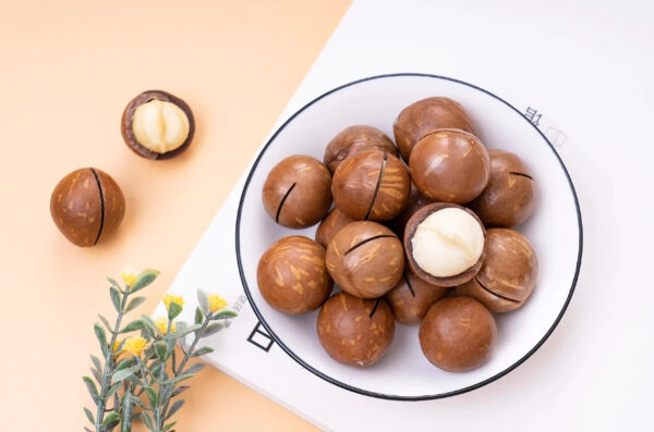 Wholesale Macadamia Nuts Salted and Creamy in Shell Creamy or Vanilla Flavors 20-25mm - Image 5