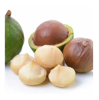 Raw Organic Brazilian Macadamia Nuts with Shell and Without Shell. - Image 5