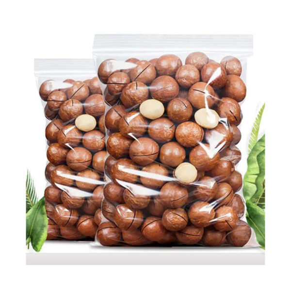 Best Quality Organic Macadamia Nuts in Shell Roasted and Raw Dried for Food Use - Image 5