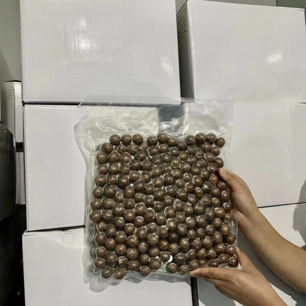 High Quality Green and Healthy Macca Macadamia Nut Cracking Delicious Honey Roasted Macadamia Nuts - Image 5