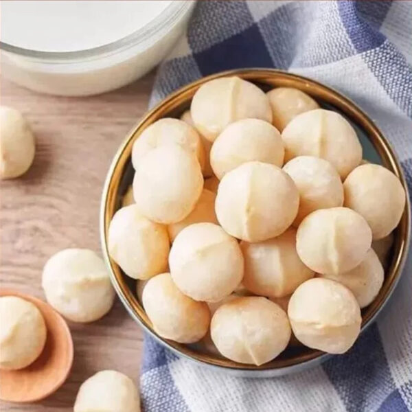 China Manufacturers Exporters Wholesale Cheap Price Bulk Roasted Macadamia Nuts Snacks for Sale - Image 5