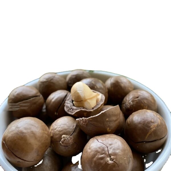 High Quality 100% Pure Non-GMO Macadamia Nut Cracker Best Price Bulk Supply From Vietnam Factory Also Specializing Cashew Nuts - Image 5
