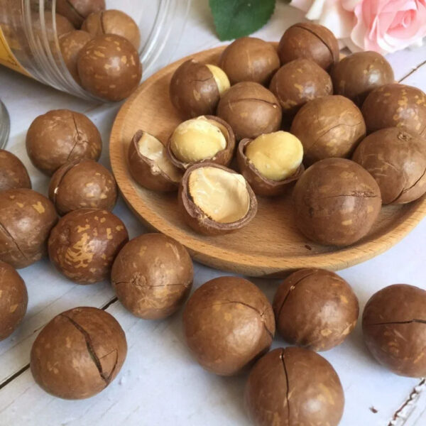 100% Macadamia Nuts Roasted Cracked Dried Size >25mm Healthy Snack in Shell 500g Nutritious Food Packed in Pet Jar From Vietnam - Image 4