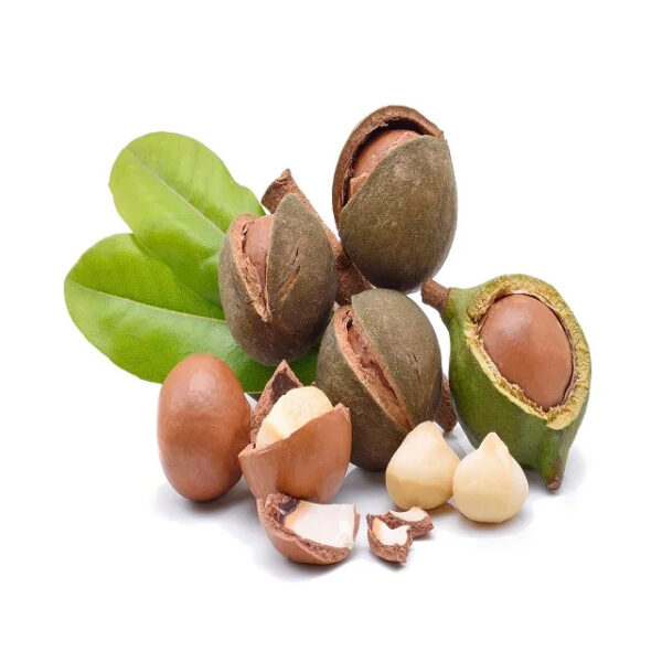 Best Price Organic Macadamia Nuts Roasted and Raw In-Shell Bulk for Food and Sacks Fast Shipping Wholesale Today - Image 5