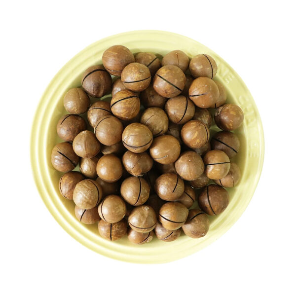 High Quality Organic Macadamia Nuts Dried Shell with Sweet Milky Flavor Hand Squeezed Raw Snack Yummy Fruit Nut Combo - Image 5