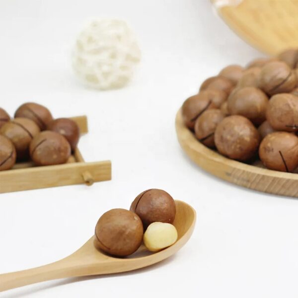 Wholesale Prices 22mm+ Macadamia Nuts Roasted and Dried Snack Food High Quality with Competitive Price. - Image 2