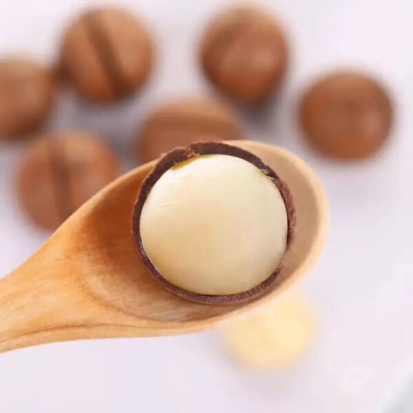 Macadamia Nut Snack for a Healthy and Delicious Treat - Image 5