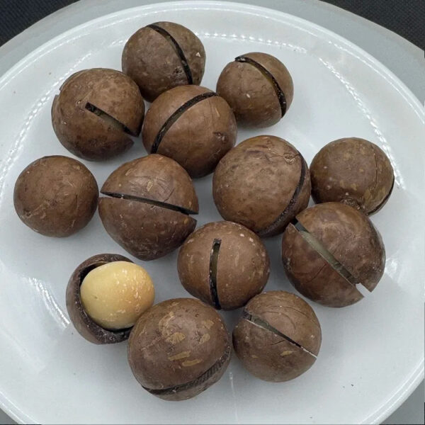 Wholesale High Quality Sweet Dried Fruit Milky Vanilla Flavored Dried Macadamia Nuts - Image 6