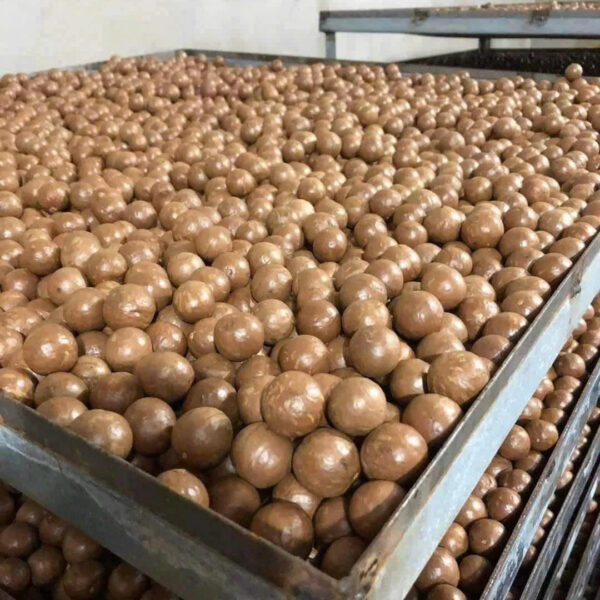 2025 Premium Macadamia Nuts Nutritious Raw Food Low Price High Quality - Image 6