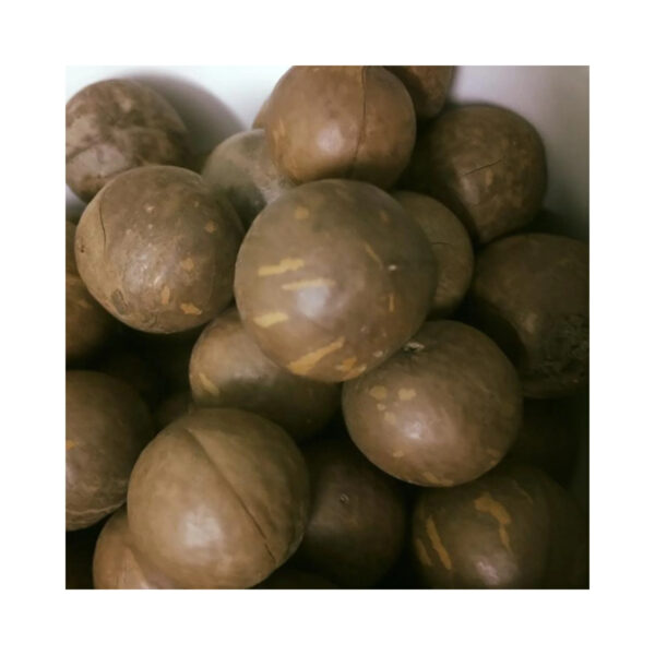 100% Natural Premium Quality Dried Roasted Macadamia Nuts With High Quality From Vietnam - Image 6