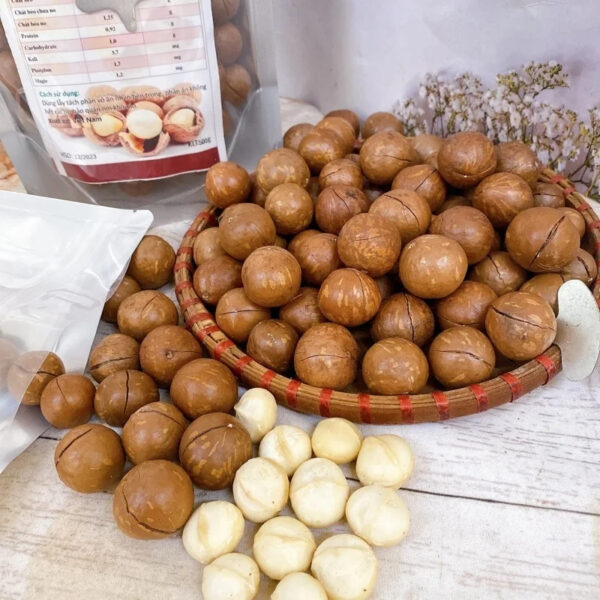 100% Macadamia Nuts Roasted Cracked Dried Size >25mm Healthy Snack in Shell 500g Nutritious Food Packed in Pet Jar From Vietnam - Image 5