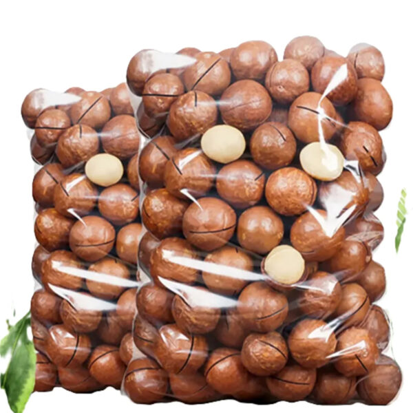 RICH PREMIUM Quality Wholesale Organic Cheap Macadamia Buyers for Sale Organic Macadamia Nuts Natural Delicious Raw - Image 3