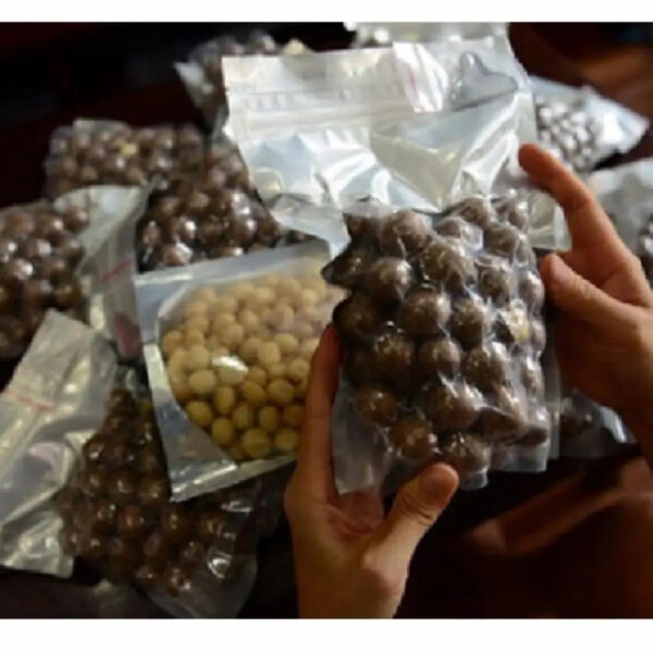 Good Supplier Macadamia Nuts - Image 5
