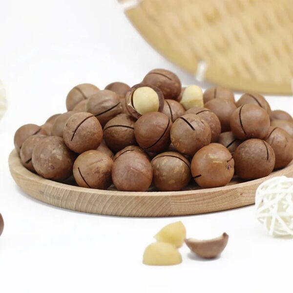 Wholesale Prices 22mm+ Macadamia Nuts Roasted and Dried Snack Food High Quality with Competitive Price. - Image 6