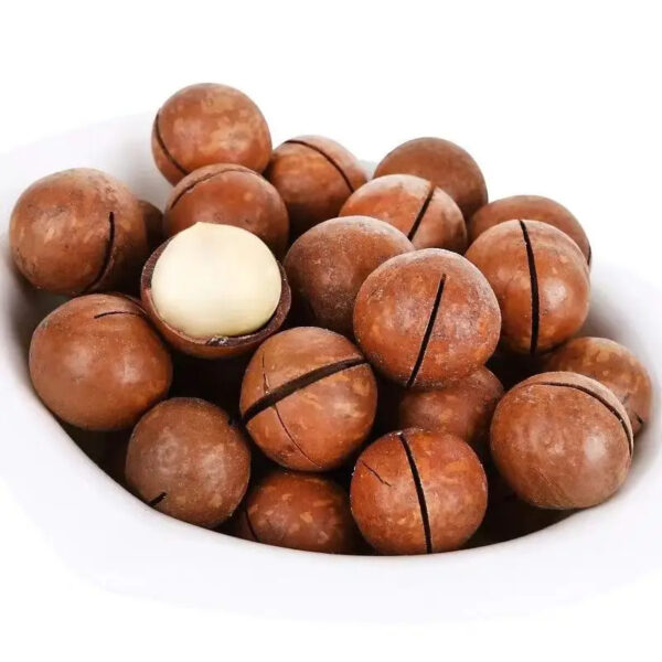 Macadamia Nut Snack for a Healthy and Delicious Treat - Image 6