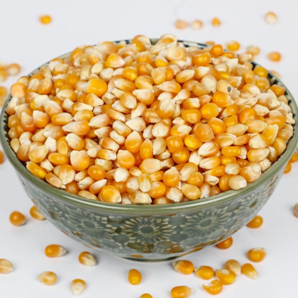 Buy Yellow Corn for Poultry Feed Low Price Yellow Maize New Wholesale Crop for Human Feed Grade Fast Delivery for Sale