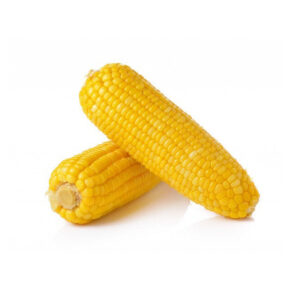 New Crop Brazilian Bulk Yellow Corn Maize Dried Yellow Corn for Human Animal Poultry Feed Grade a for Consumption