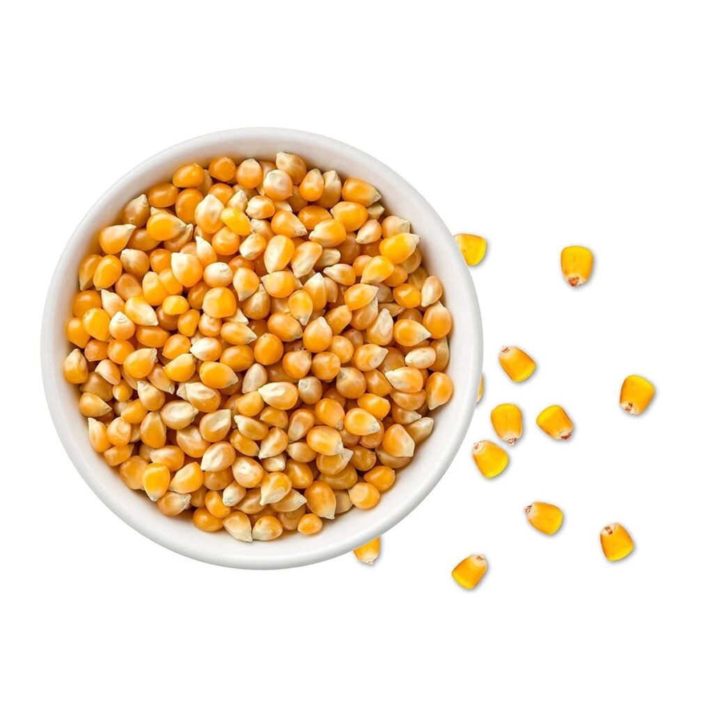 100% Quality Commitment Organic Food Grade Mushroom Popcorn Kernels Dried Yellow Natural Taste Bulk Reputed Brazilian