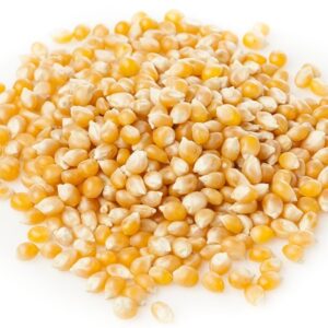 Wholesale Price Yellow Maize Corn