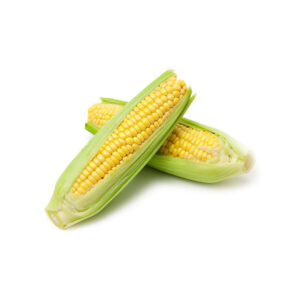 Bulk Fresh Stock Dried Yellow Corn Maize Seeds 100% Glutinous Grade a Brazilian Origin Best Wholesale Price