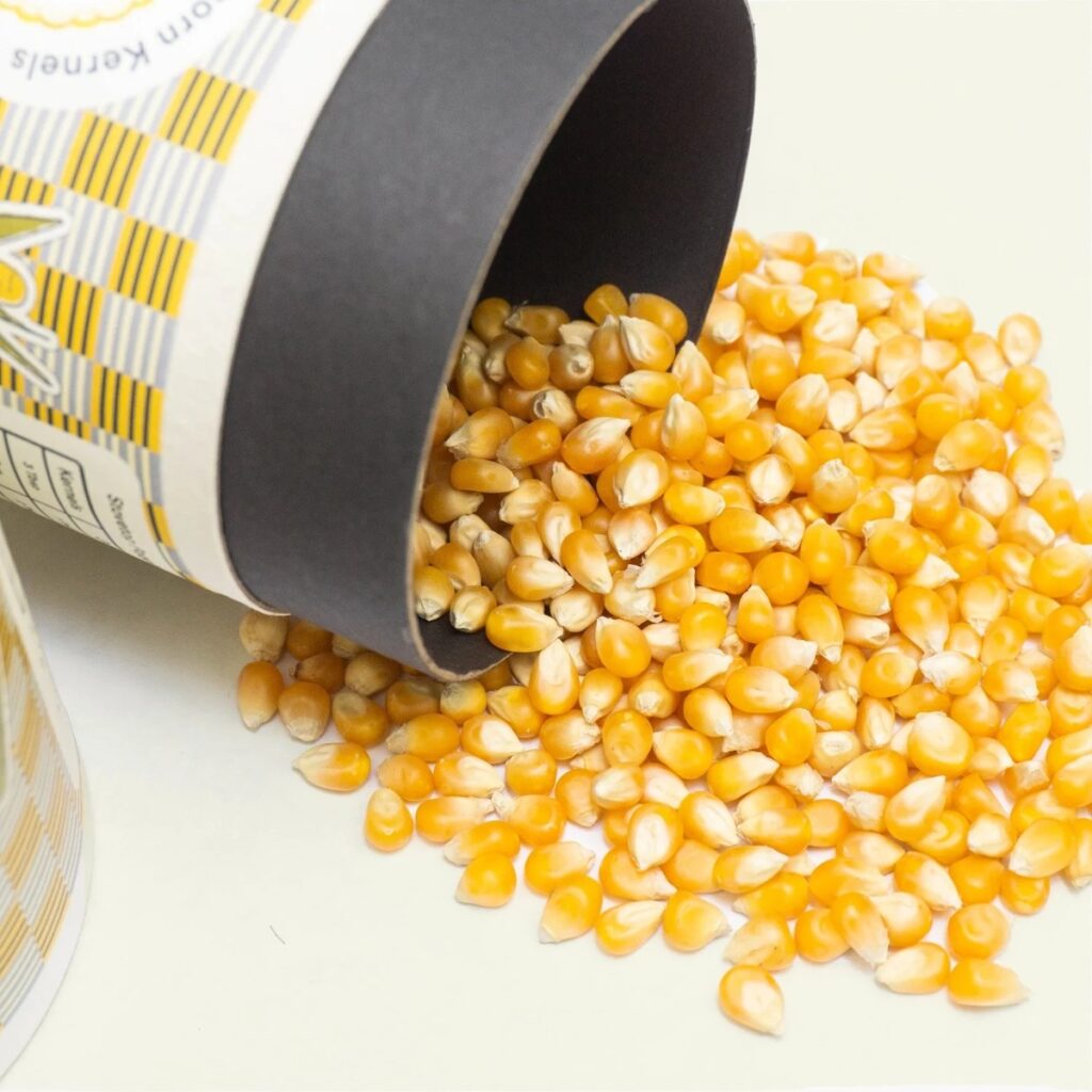 100% Natural Yellow Maize Seeds Premium Grade Dried Human Feed for Humans GMO