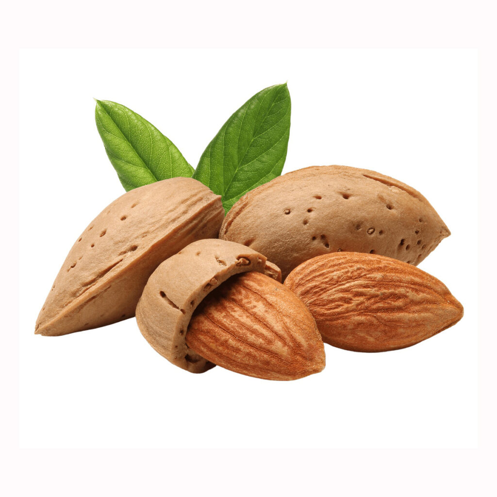 100% Raw Dried Almond Nuts / Almond Kernel-Food Grade