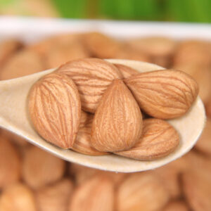 Organic Fresh South Almond 500g Fujian Specialty Big Almond Roasted Edible Nut 240 Days Shelf Life