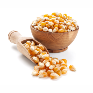 Organic Dried Popcorn Maize Kernels High Quality Yellow Non-Glutinous