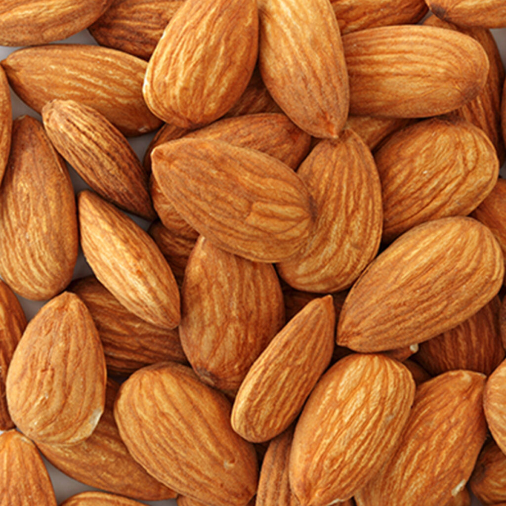 Premium Organic Almond Nuts High Quality Bulk Wholesale Competitively Priced in Shell Dried and Baked/Raw for Food