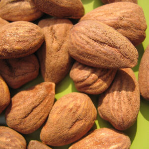 Wholesale Premium Organic Raw Dried Almond Nuts with Clean Texture Bulk Packed Carefully for Global Shipment